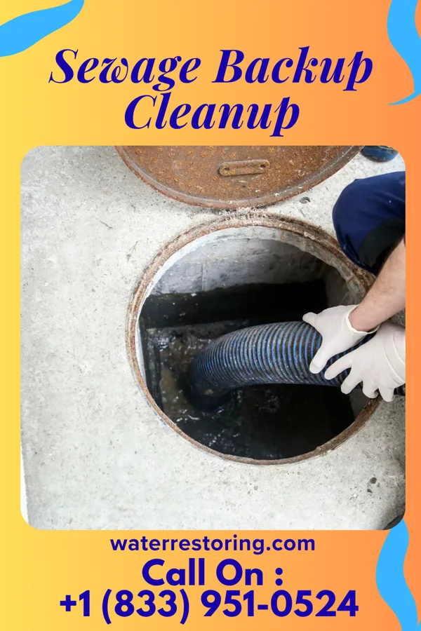 Sewage Backup Cleanup in Carpentersville, IL