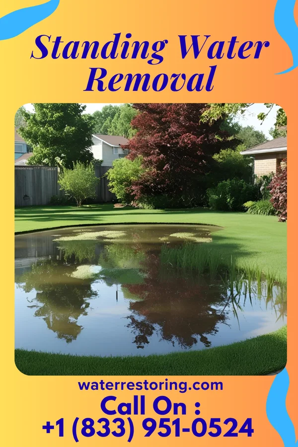 Standing Water Removal in Carpentersville, IL